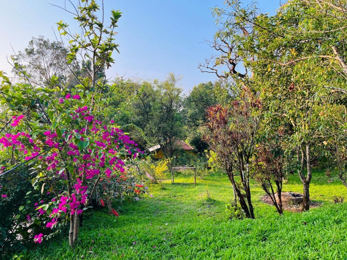 Coorg Daffodil Guesthouse Madikeri Bagian luar foto